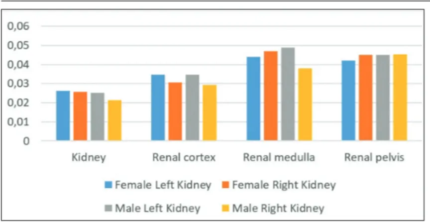 Table 3. The number of glomerulus, proximal tubule, distal tubule, Henle’s loop, collecting tubule in per unit area (Mean±SE)