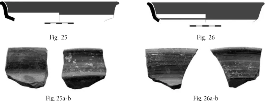 Fig.  25  Fig.  26 