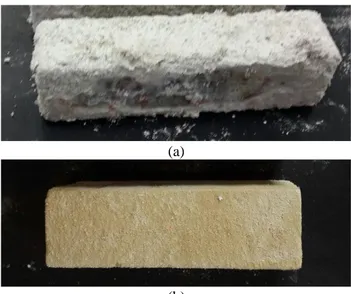 Şekil 4 Jeopolimer betona ait asit (a) ve sülfat (b) etkisine  maruz kalmış numuneler 