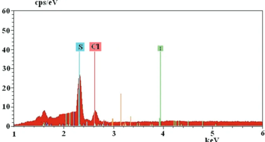 Figure 7. EDX spectrum of Ph-NH + 3 DBSA − salt obtained from the aniline + DBSAH + HCl mixture.