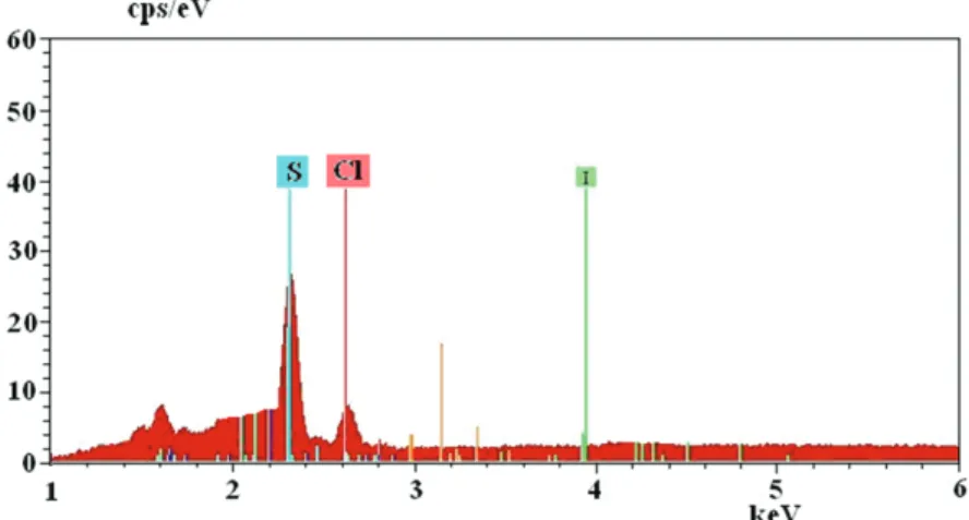 Figure 7. EDX spectrum of Ph-NH + 3 DBSA − salt obtained from the aniline + DBSAH + HCl mixture.