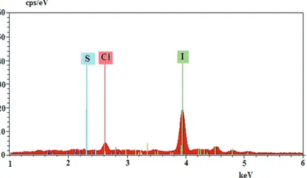 Figure 9. EDX spectrum of polymer obtained by adding H 5 IO 6 to the aniline + HCl mixture.