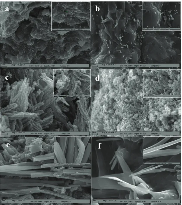 Figure 12. Scanning electron micrograph (SEM) image for polyaniline synthesized solution containing 1.0 mmol aniline, 1.0 mmol H 5 IO 6 , and 1.0 mmol HCl a) no DBSAH, b) 1.0 mmol DBSAH, c) 3.0 mmol DBSAH, d) 5.0 mmol DBSAH, e) 7.5 mmol DBSAH, f) 10.0 mmol