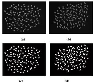 Figure 6. The images of 100 grains for a) grayscale of bread wheat, b)  grayscale of durum wheat a) binary images of bread wheat, b) binary 