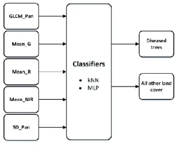Figure 1. Classification structure 