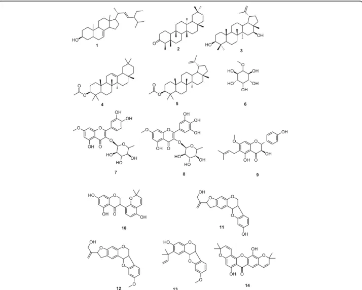 Fig. 1 Chemical structures of tested compounds. 1: β-spinasterol; 2: friedelanone; 3: 16β-hydroxylupeol; 4: β-amyrin acetate; 5: 5-O-methyl-myo-inositol or sequoyitol; 6: lupeol acetate; 7: rhamnitrin or 7-O-methylquercetin 3-O-rhamnoside; 8: europetin 3-O