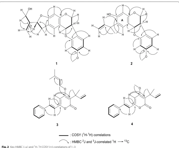 Fig. 2  Key HMBC (→) and  1 H– 1 H COSY (─) correlations of 1–3
