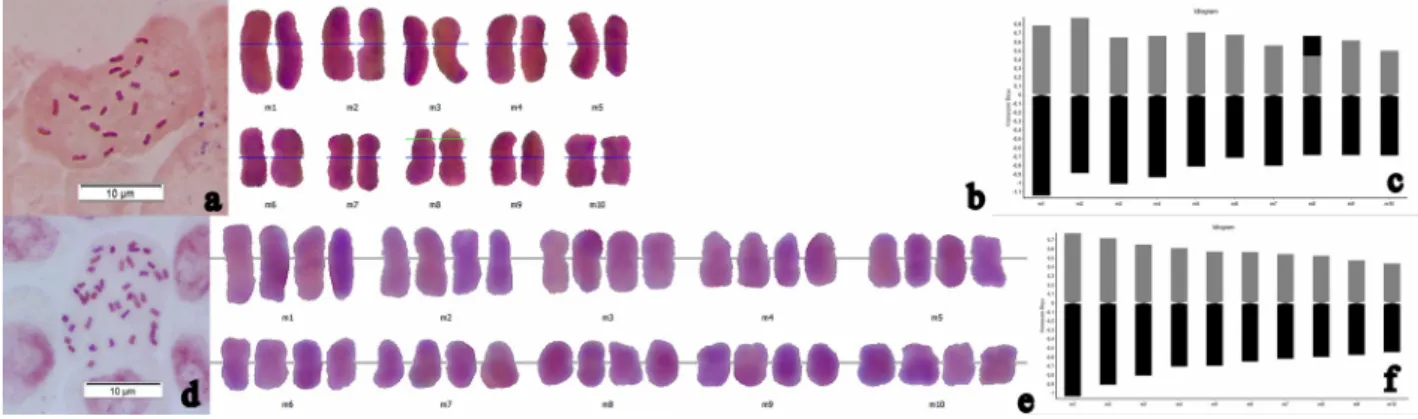 Figure 5. Metaphase plate, karyotype, and idiogram of C. uysalii Şirin &amp; Çeçen (a–c) and C