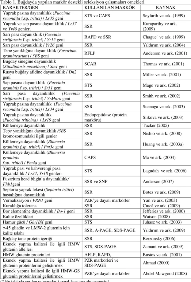 Tablo 1. Buğdayda yapılan markör destekli seleksiyon çalışmaları örnekleri 