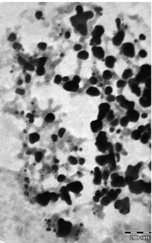 Fig. 3 shows TEM image of Au–Ag–MIP nanoclusters without cholic acid template after 2 M NaOH/THF acid (3/1, v/v) treatment