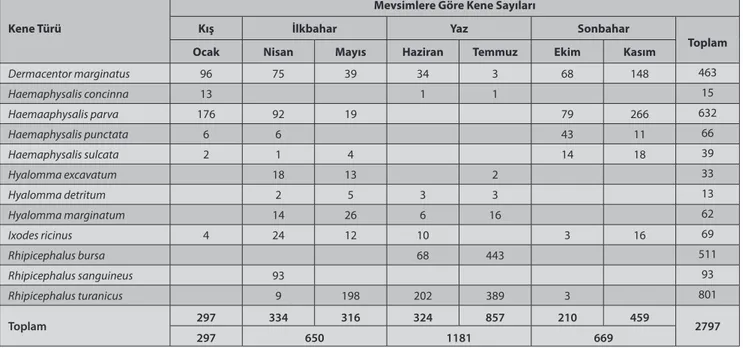 Tablo 5. Tespit edilen kene türlerinin mevsimlere göre dağılımı   Table 5. Seasonal distribution of the identified tick species