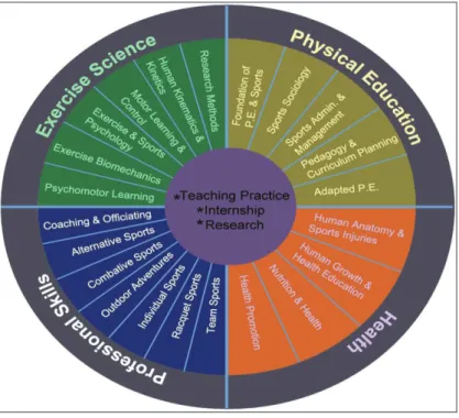 Figure 2. New Strategies  for  Physical Education and Sport [11]. 
