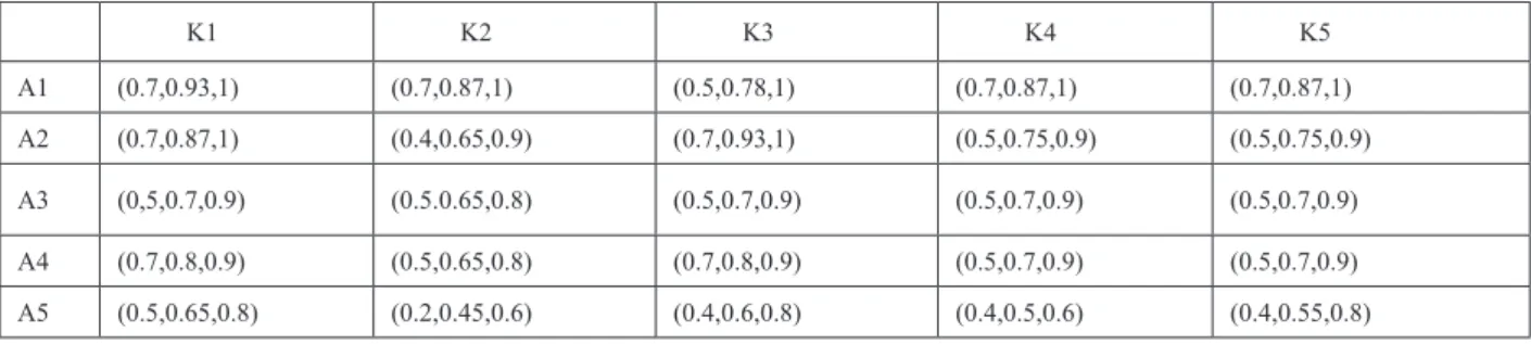 Tablo 5. Bulanık Karar Matrisi