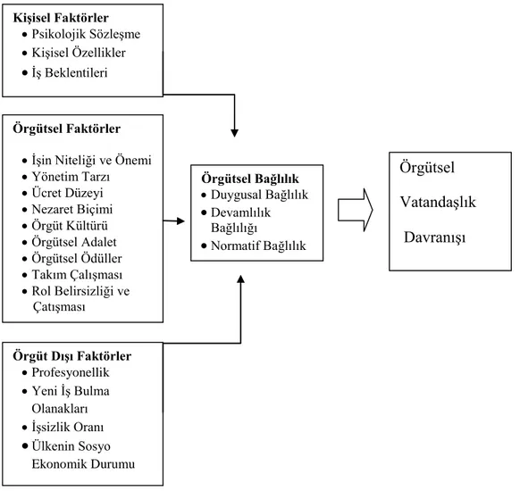 ġekil 2.1 Örgütsel Bağlılık ve Örgütsel VatandaĢlık ĠliĢkisi                                                                                                                                                                                                    