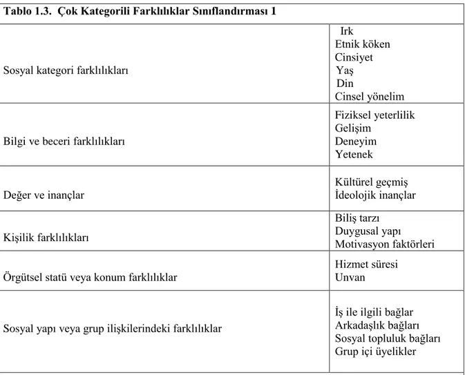 Tablo 1.3.  Çok Kategorili Farklılıklar Sınıflandırması 1 