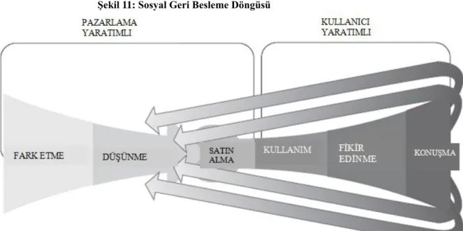 Şekil 11: Sosyal Geri Besleme Döngüsü 