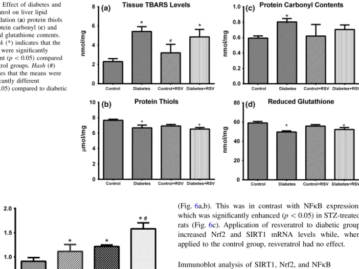 Fig. 3 Total phosphoprotein concentrations of fractions eluted from purification columns after 5-mg protein load