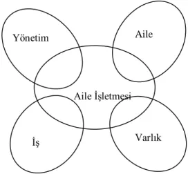 ġekil 1: Aile ĠĢletmeleri ve Öğeleri  