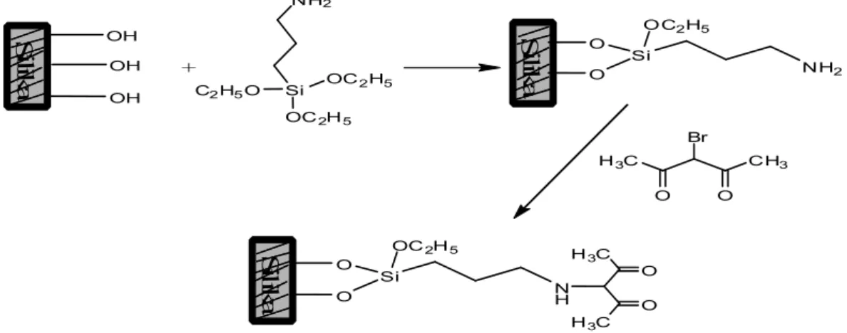 Şekil  2.7.  3-aminopropiltrimetoksisilan  ile  modifiye  edilmiş  silika  yüzeyine  3-bromo  pentandionun immobilizasyonu