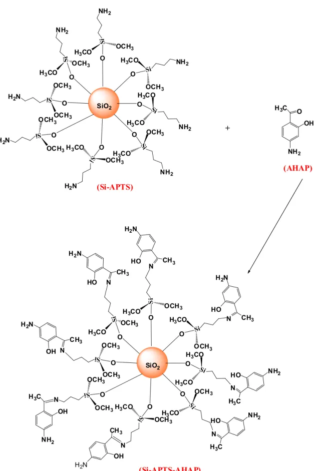Şekil 3.2. 3-aminopropiltrimetoksisilan  bağlı  silika  jele 4-Amıno-2-Hidroksiasetofenon  immobilizasyonu 