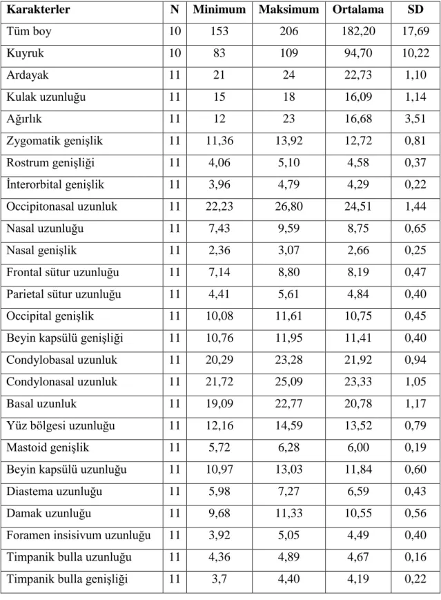 Çizelge 4.3. Apodemus flavicollis‟in iç ve dış karakter ölçüleri  