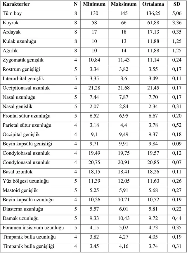 Çizelge 4.4. Mus macedonicus‟un iç ve dış karakter ölçüleri  