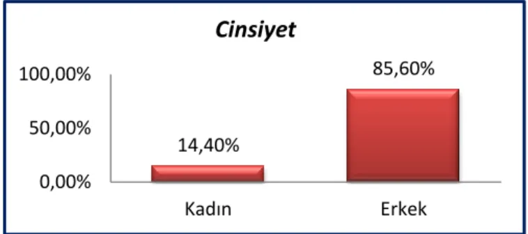 Şekil 1. Cinsiyet Durumu 