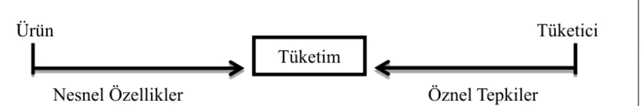 Şekil 1.1. Tüketim Olgusu 