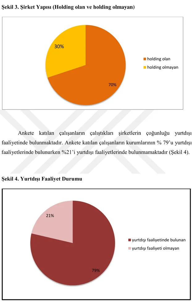 Şekil 3. Şirket Yapısı (Holding olan ve holding olmayan) 