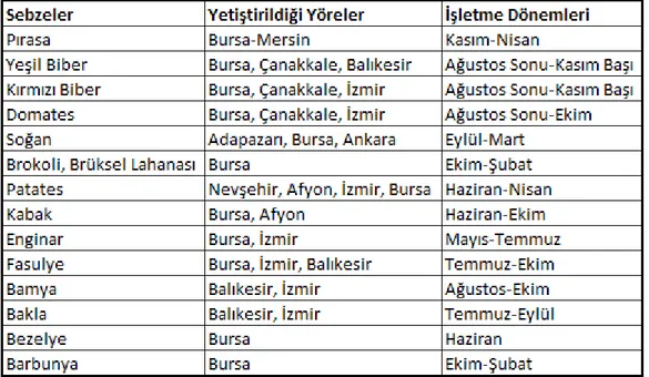 Tablo 6: Sebzelerin Yetiştirildiği Bölgeler ve İşleme Dönemleri 