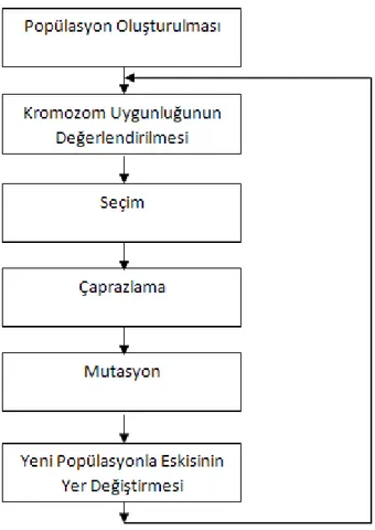 Şekil 4-1 Klasik Genetik Algoritmaların Genel Akış Şeması 