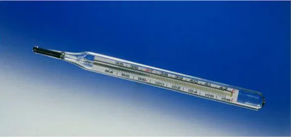Figure 2: Mercury in Glass Thermometer 