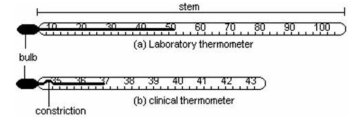 Figure 3: (a) Maximum Thermometer / (b) Clinical Thermometer 