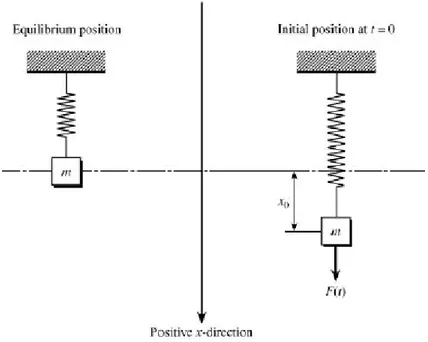 Figure 4.4 Spring from Bronson and Costa (2006) 