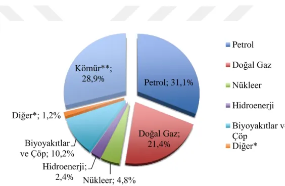 Şekil 1: Dünya Geneli Toplam Birincil Enerji Arzı (2013) 