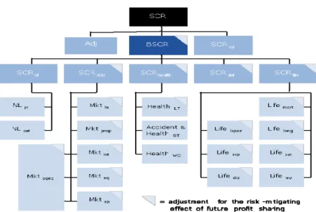 Figure 1.1 Risk Modules of SCR 