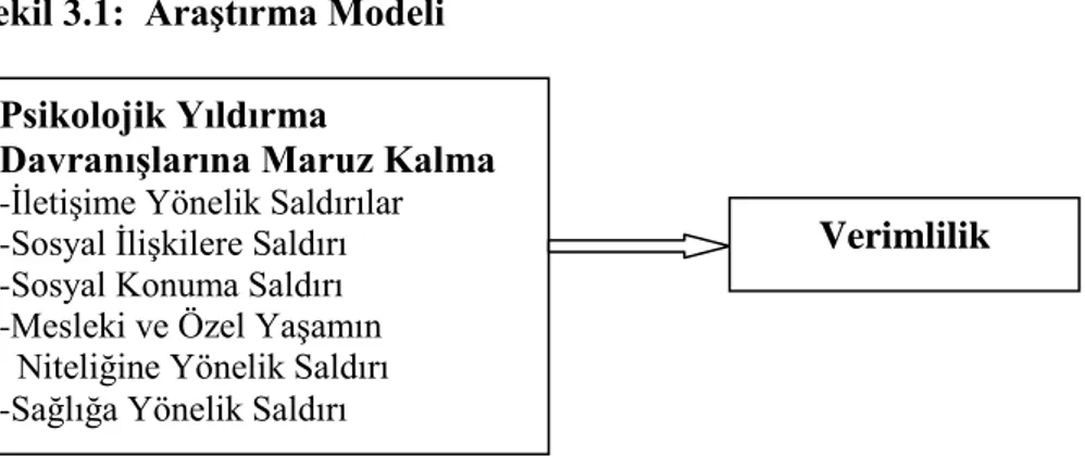 Şekil 3.1:  Araştırma Modeli 