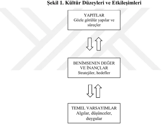 Şekil 1. Kültür Düzeyleri ve Etkileşimleri 