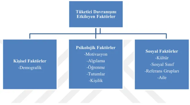 Şekil 3: Tüketici Davranışını Etkileyen Faktörler 