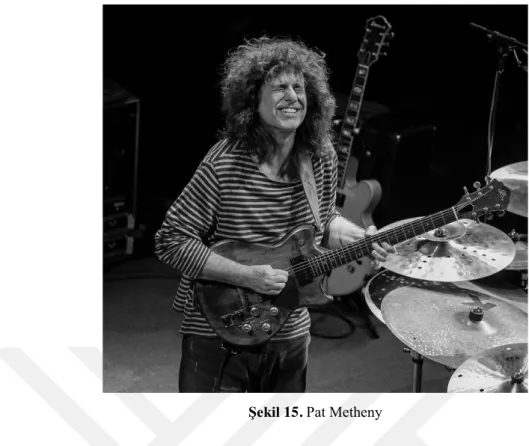 Şekil 15. Pat Metheny 