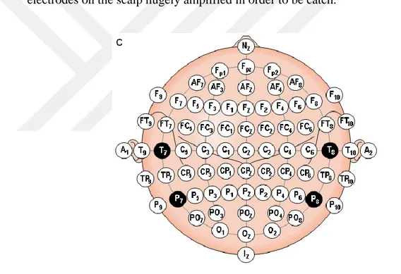 Figure 3.5 Example of  placement of electrodes  (Plonsey and Malmivuo, 1995) 