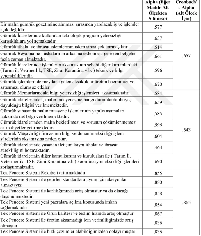 Tablo 6. Revize Sonrası Ölçek Güvenilirliğinin Ölçülmesi 