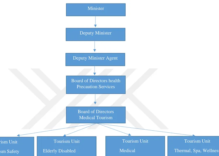 Figure 2: The administrative structure of medical tourism in Turkey 