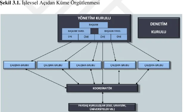 ġekil 3.1. İşlevsel Açıdan Küme Örgütlenmesi 