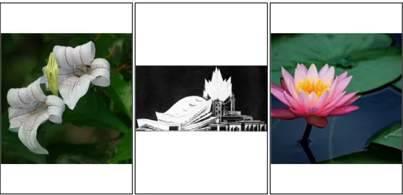 Figure 3.26  a)  A Flower 