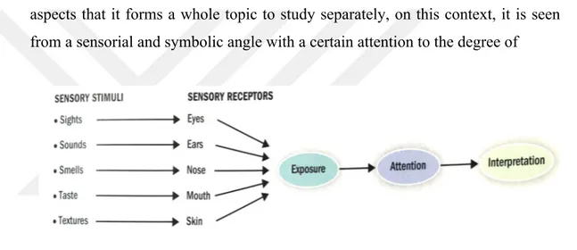 Figure 1: Overview of the perceptual process of the customer 