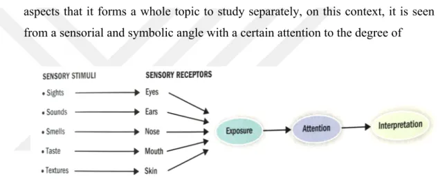 Figure 1: Overview of the perceptual process of the customer 