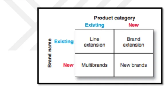 Table 2.4 Brand Development Strategies (Kotler and Armstrong, 2004)