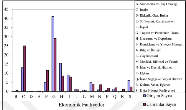 Şekil 2. Ekonomik Faaliyetlere Göre Girişim Sayısı ve İstihdamın Dağılımı (2013) 