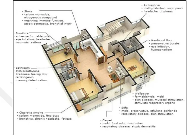 Figure 3.2: Some of the chemical and biological sources of sick building syndrome in a  regular home